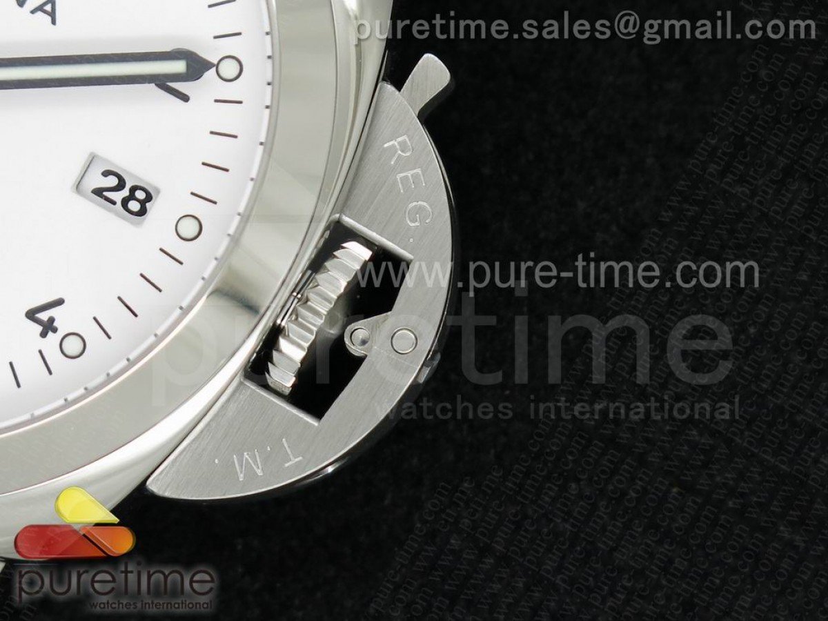 PAM499 - Image 4