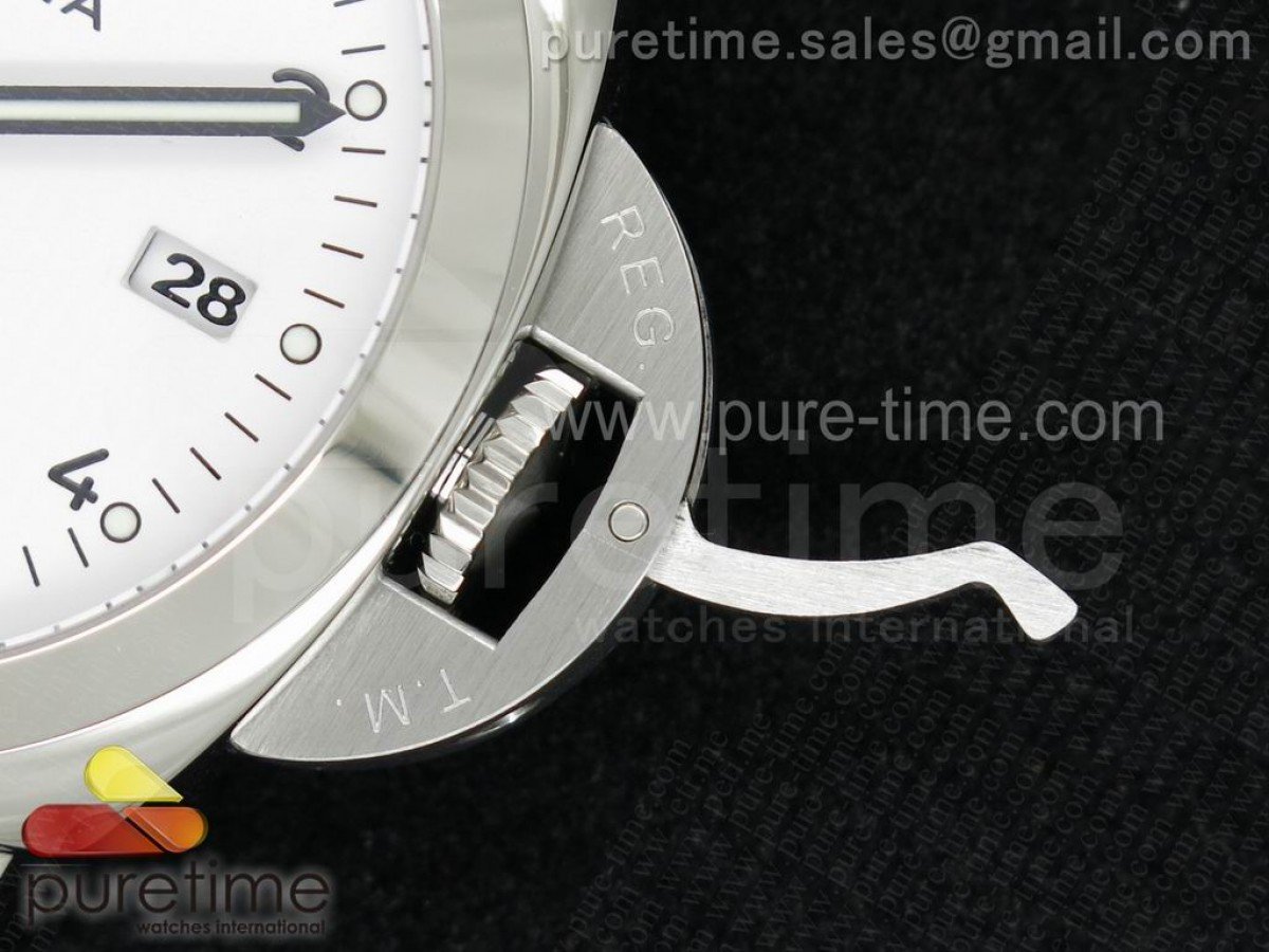 PAM499 - Image 5