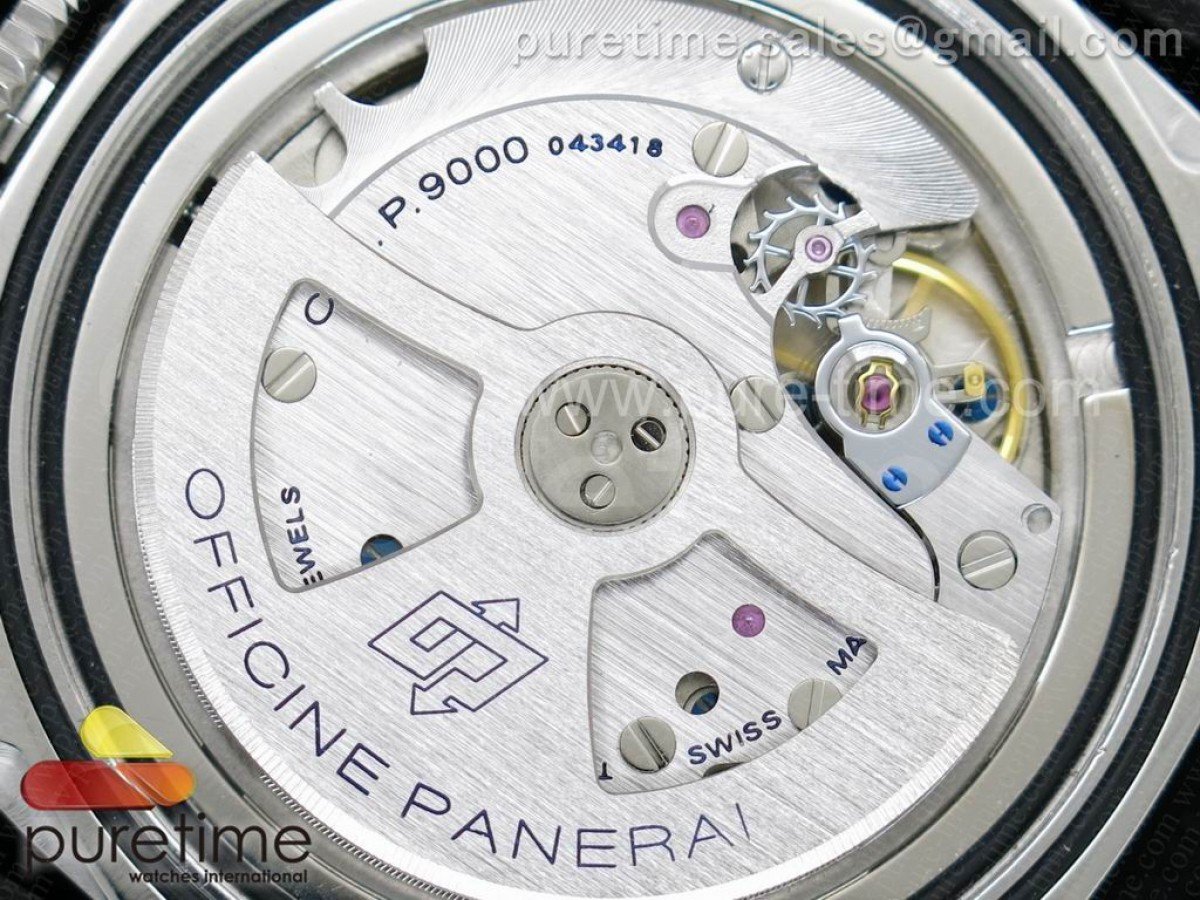 PAM499 - Image 10